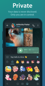 Telegram Beta APK for Android Latest Version 2024 6